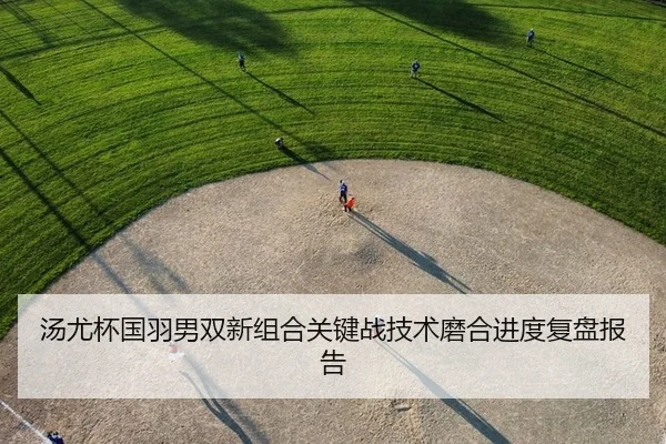 tang-you-bei-guo-yu-nan-shuang-xin-zu-he-guan-jian-zhan-ji-shu-mo-he-jin-du-fu-pan-bao-gao-2-284.jpg